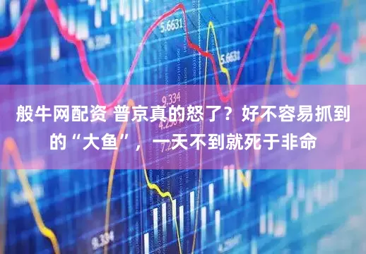 般牛网配资 普京真的怒了？好不容易抓到的“大鱼”，一天不到就死于非命